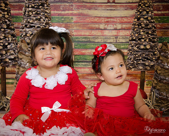 Navidad 2014-1572