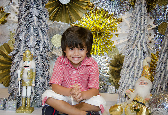 Navidad-14589