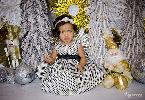 Navidad 3 2014-1611