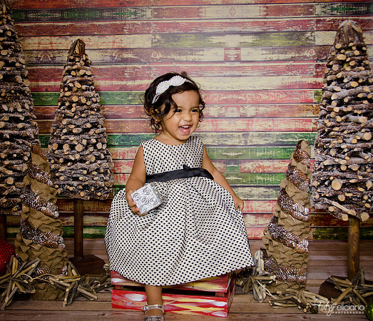 Navidad 3 2014-1729