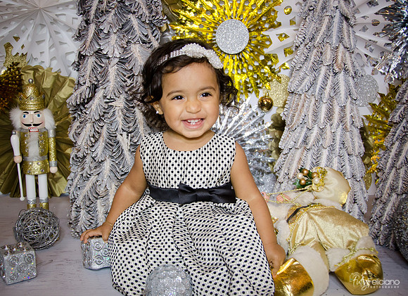 Navidad 3 2014-1717