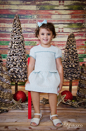 navidad 2014-10761
