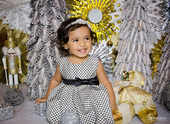 Navidad 3 2014-1719