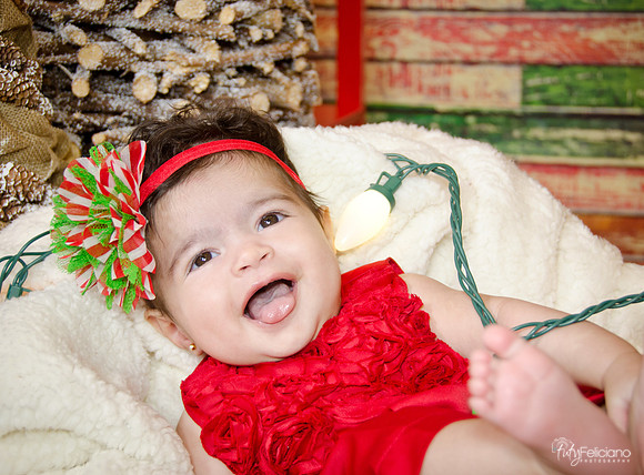 Navidad 2014-7725