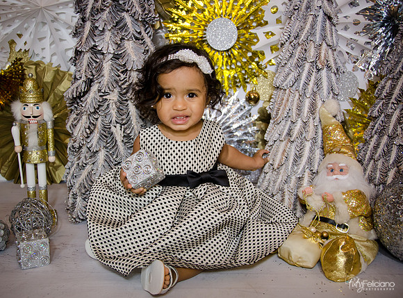 Navidad 3 2014-1649