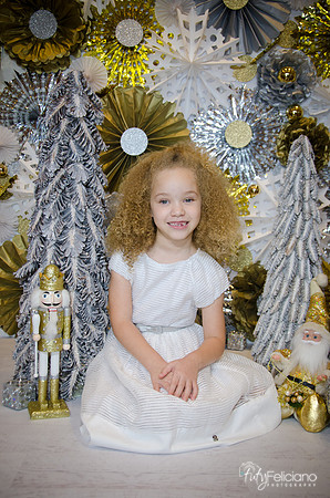 Navidad-15247