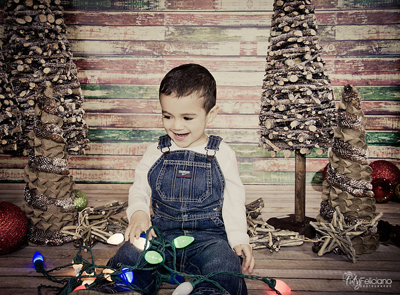 Navidad 2014-3697