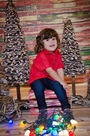 navidad 2014-11617