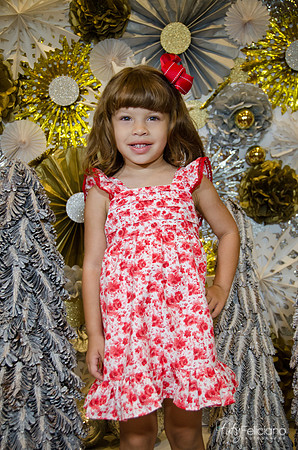 navidad 2014-11231