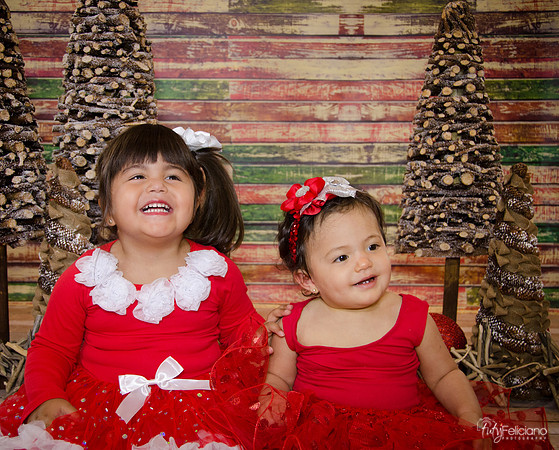 Navidad 2014-1580