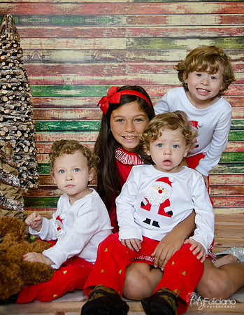 navidad 2014-11009