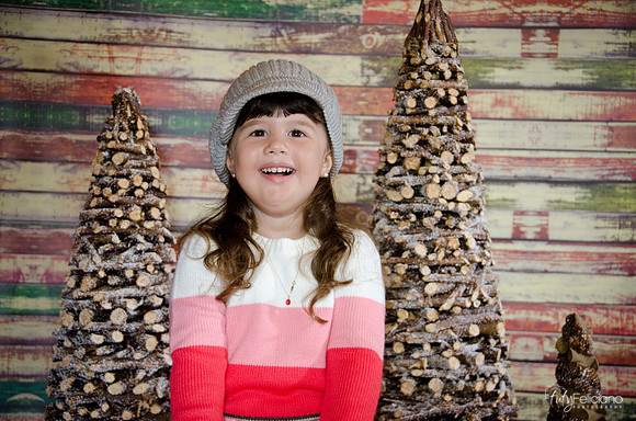 navidad 2014-2844