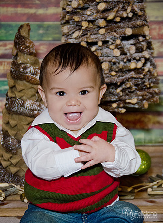 navidad 2014-3018