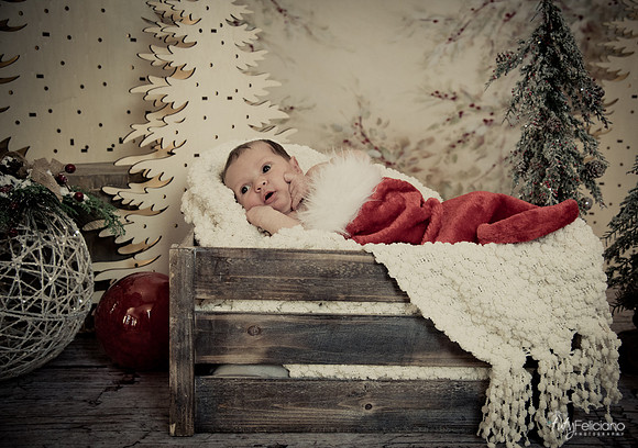Navidad-1455