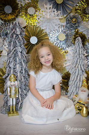 Navidad-15246