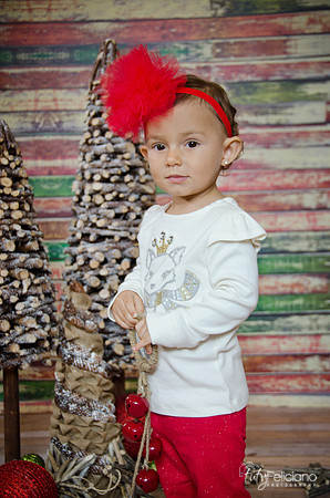 Navidad 2014-7430