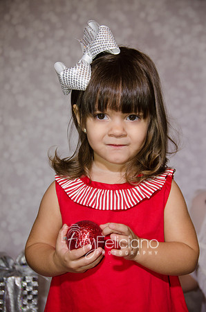 Shoooting navideno 2013-2-3224