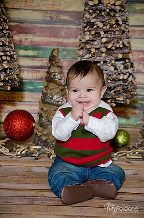 navidad 2014-3060