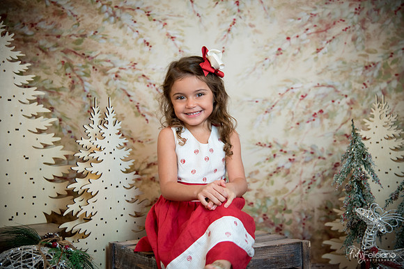 2 Navidad-8176