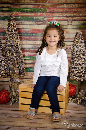 Navidad 2014-3528