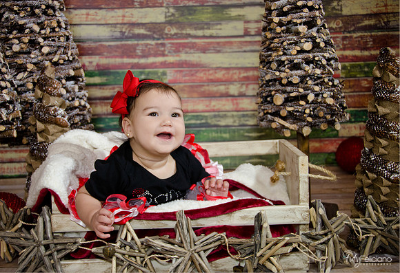 Navidad2014-4136