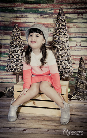 navidad 2014-2838