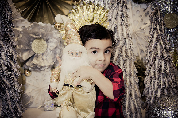 Navidad 2014-8297