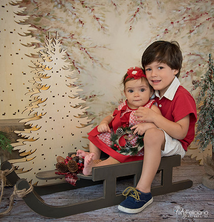 Navidad-512