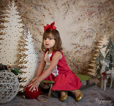 2 Navidad-4609