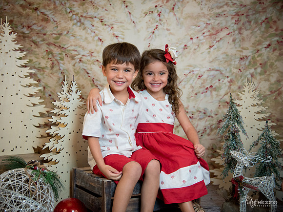 2 Navidad-8128