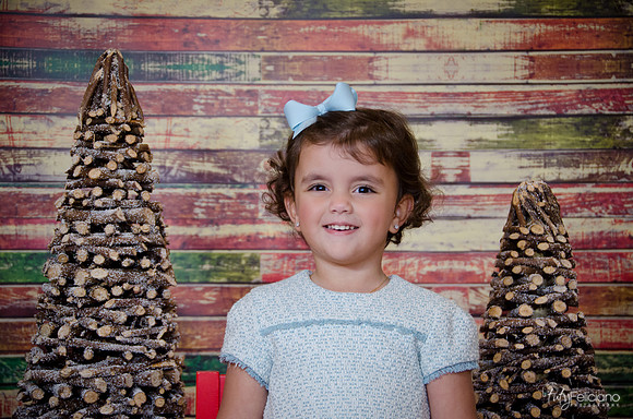 navidad 2014-10785