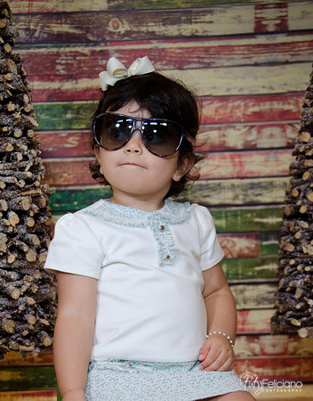 navidad 2014-10939
