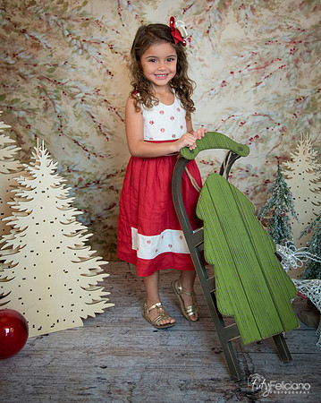 2 Navidad-8198