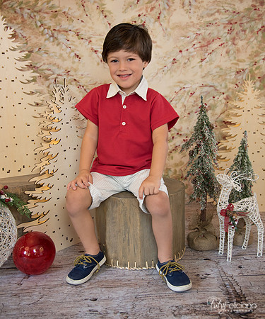 Navidad-481