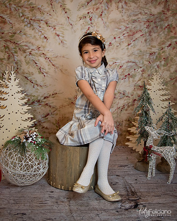 2 Navidad-8415