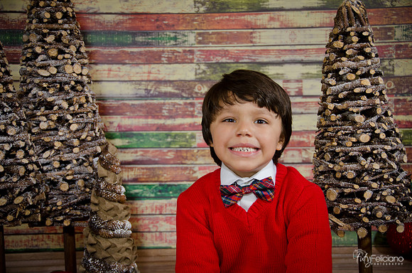 Navidad2014-4483