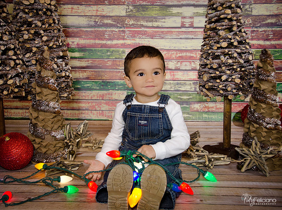 Navidad 2014-3688