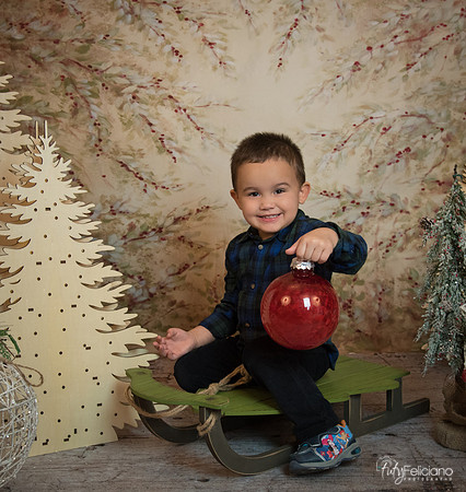 2 Navidad-9146