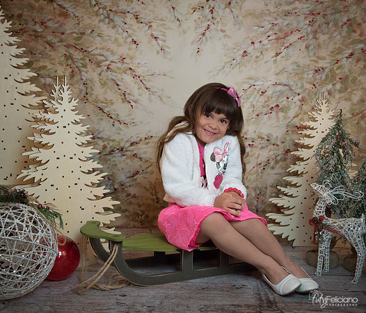 2 Navidad-9086