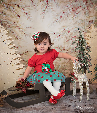 Navidad-1664