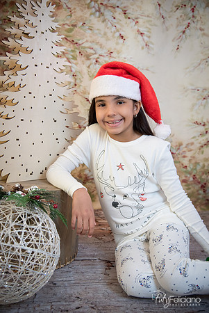 2 Navidad-6056