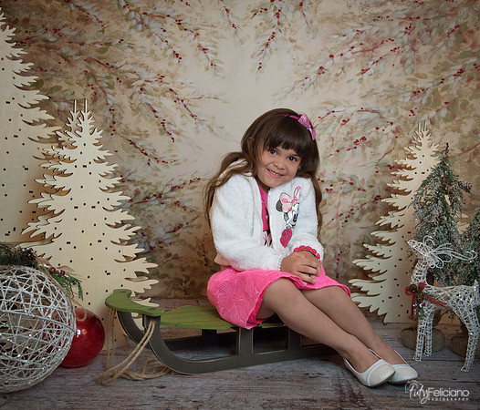 2 Navidad-9086