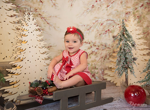 Navidad-591