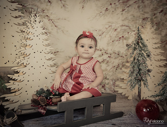 Navidad-577