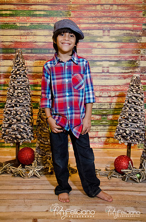 Navidades 2014-16273
