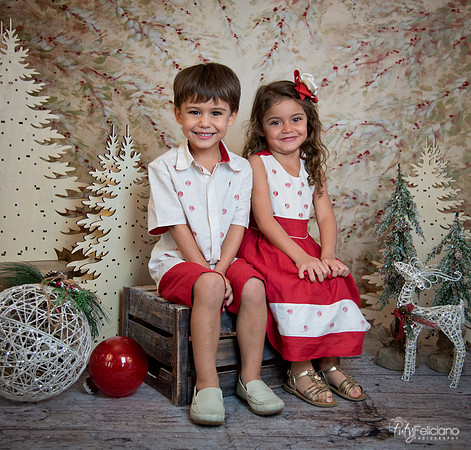 2 Navidad-8101