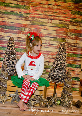 Navidades 2014-16186