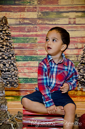 Navidad 2014-16744