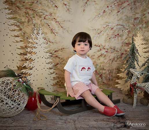2 Navidad-7554