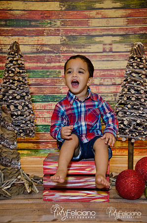 Navidad 2014-16725